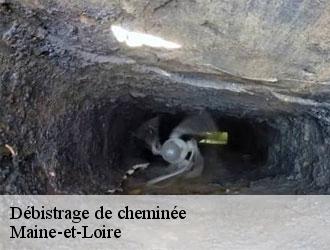 debistrage-de-cheminee-le-petit-ramoneur-49-2