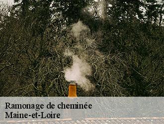 ramonage-de-cheminee-le-petit-ramoneur-49-2