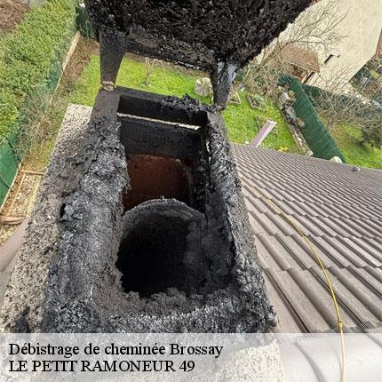 debistrage-de-cheminee-le-petit-ramoneur-49-7