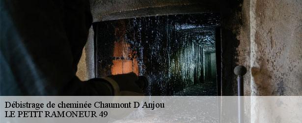debistrage-de-cheminee-le-petit-ramoneur-49-4