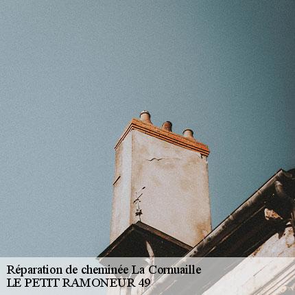 reparation-de-cheminee-le-petit-ramoneur-49-7