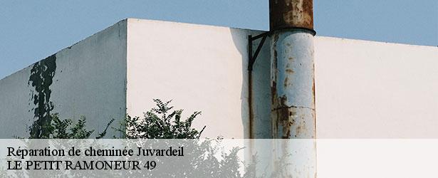 reparation-de-cheminee-le-petit-ramoneur-49-4