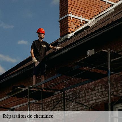 reparation-de-cheminee-le-petit-ramoneur-49-6