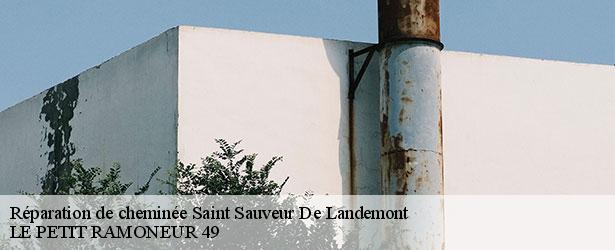 reparation-de-cheminee-le-petit-ramoneur-49-4