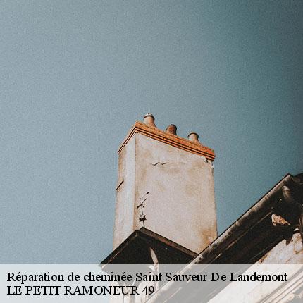 reparation-de-cheminee-le-petit-ramoneur-49-7
