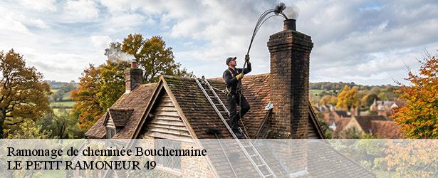 ramonage-de-cheminee-le-petit-ramoneur-49-4