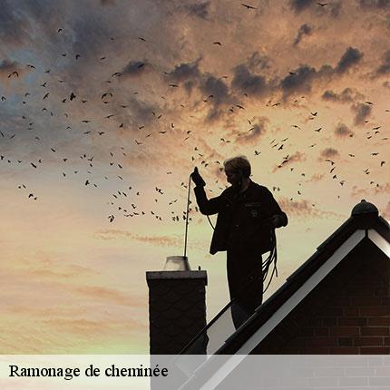 ramonage-de-cheminee-le-petit-ramoneur-49-6