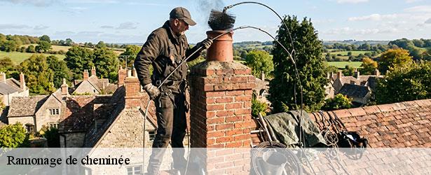ramonage-de-cheminee-le-petit-ramoneur-49-3