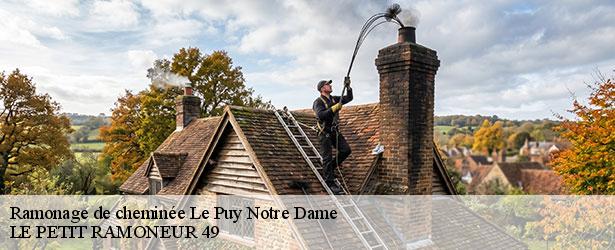 ramonage-de-cheminee-le-petit-ramoneur-49-4