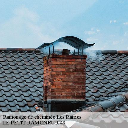 ramonage-de-cheminee-le-petit-ramoneur-49-7