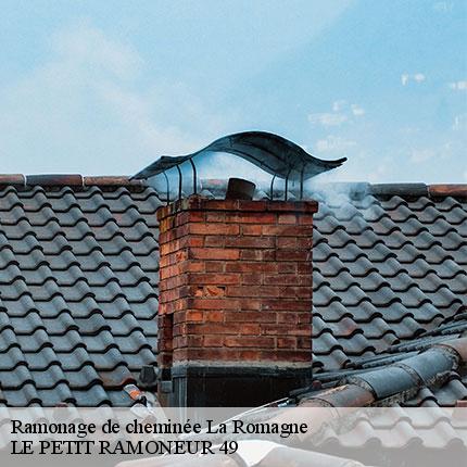 ramonage-de-cheminee-le-petit-ramoneur-49-7