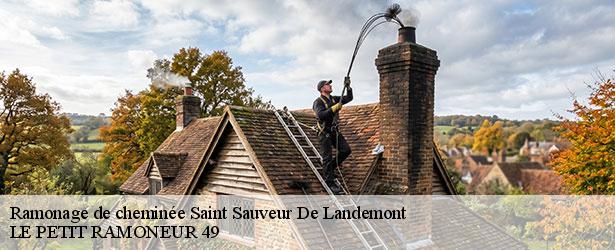 ramonage-de-cheminee-le-petit-ramoneur-49-4
