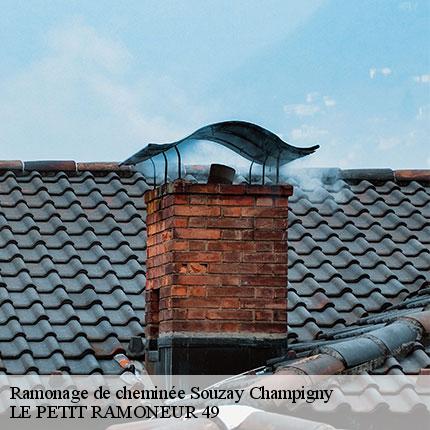 ramonage-de-cheminee-le-petit-ramoneur-49-7