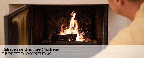 entretien-de-cheminee-le-petit-ramoneur-49-4