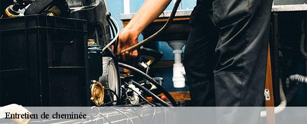 entretien-de-cheminee-le-petit-ramoneur-49-3
