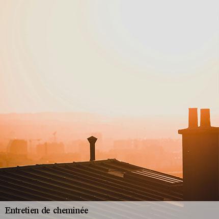 entretien-de-cheminee-le-petit-ramoneur-49-6
