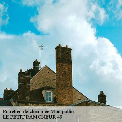 entretien-de-cheminee-le-petit-ramoneur-49-7