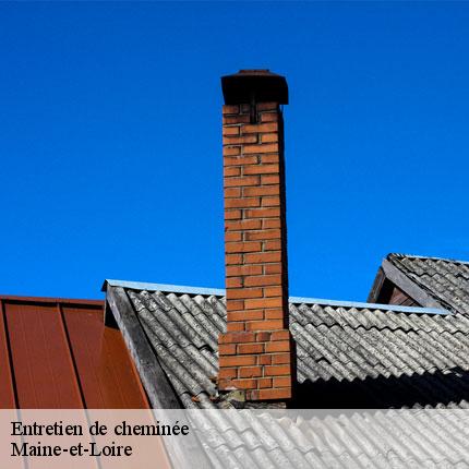 entretien-de-cheminee-le-petit-ramoneur-49-5