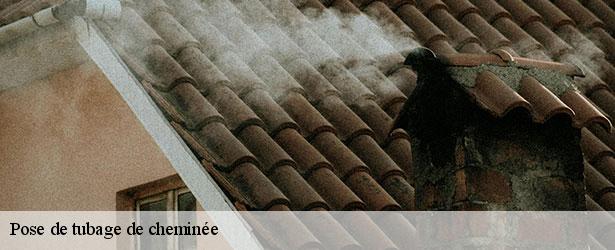 pose-de-tubage-de-cheminee-le-petit-ramoneur-49-3