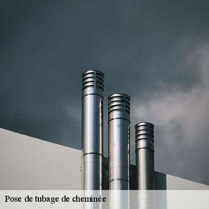 pose-de-tubage-de-cheminee-le-petit-ramoneur-49-6