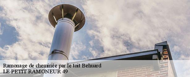 ramonage-de-cheminee-par-le-toit-le-petit-ramoneur-49-4
