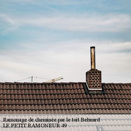 ramonage-de-cheminee-par-le-toit-le-petit-ramoneur-49-7
