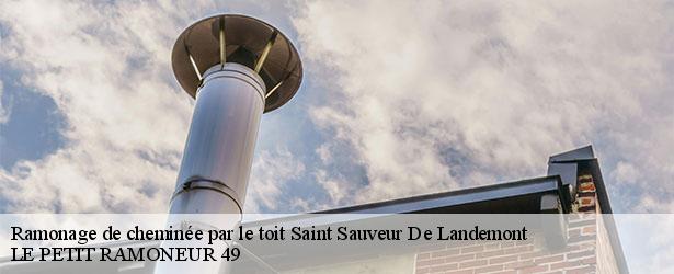 ramonage-de-cheminee-par-le-toit-le-petit-ramoneur-49-4