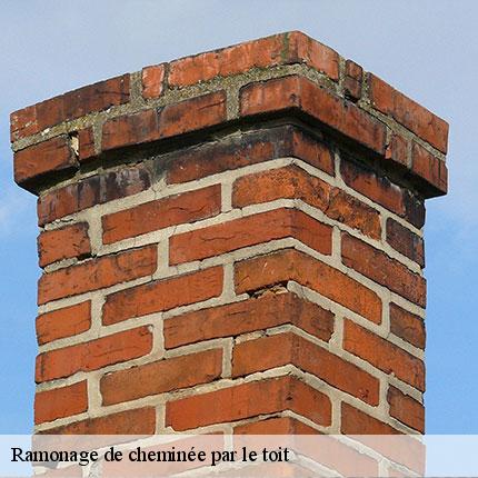 ramonage-de-cheminee-par-le-toit-le-petit-ramoneur-49-6