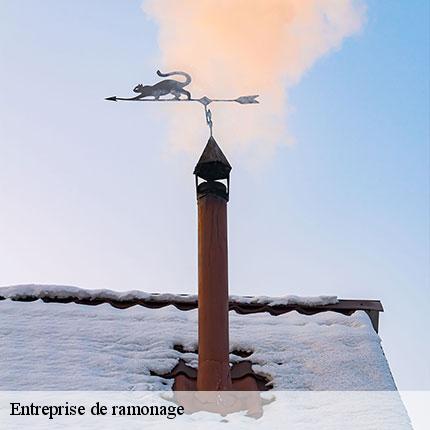 entreprise-de-ramonage-le-petit-ramoneur-49-6