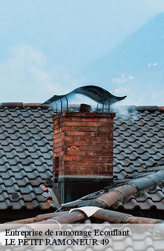 entreprise-de-ramonage-le-petit-ramoneur-49-1