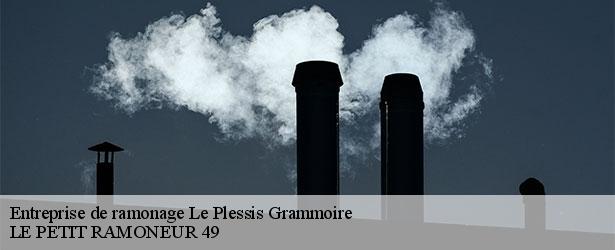 entreprise-de-ramonage-le-petit-ramoneur-49-4